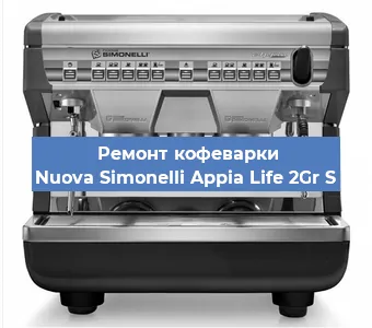 Замена прокладок на кофемашине Nuova Simonelli Appia Life 2Gr S в Челябинске